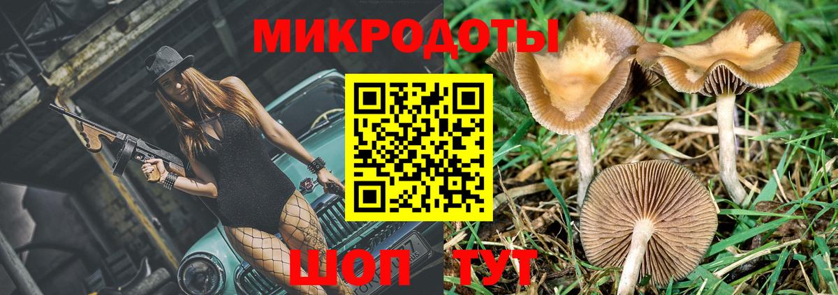 Псилоцибиновые грибы мицелий  Вход с VPN  Псилоцибиновые грибы Psilocybe  Калининград 