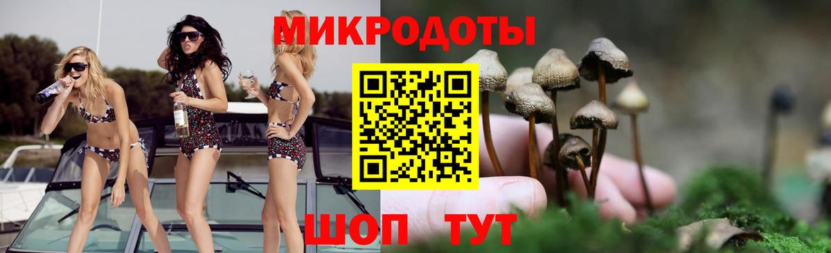 Галлюциногенные грибы Psilocybine cubensis Калининград